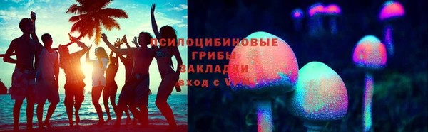 PSILOCYBIN Киреевск