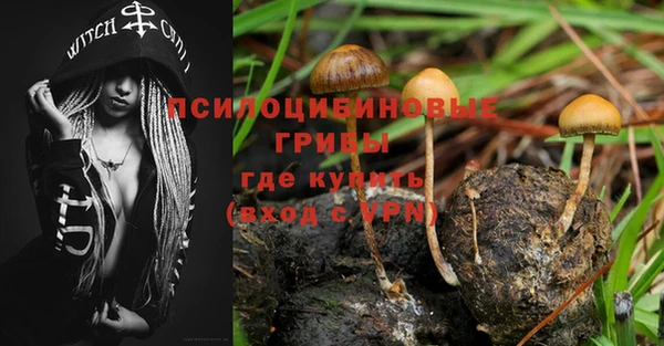 PSILOCYBIN Киреевск