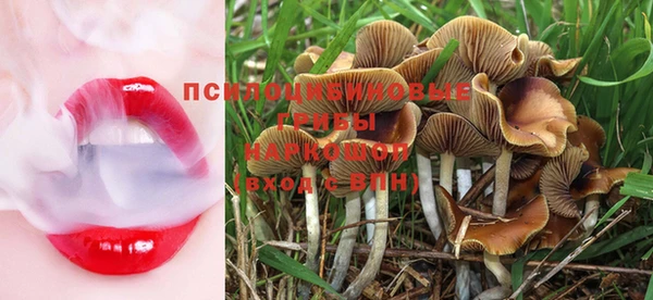 PSILOCYBIN Киреевск