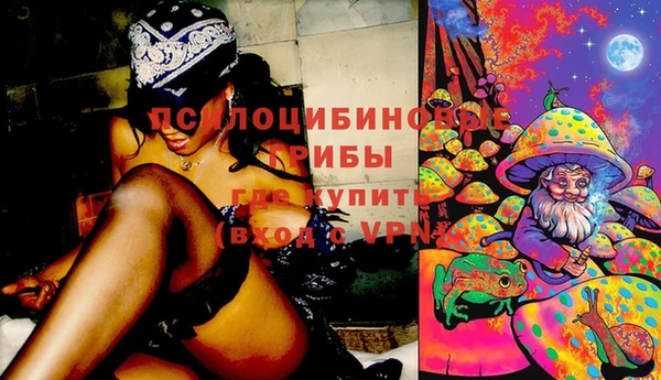 PSILOCYBIN Киреевск