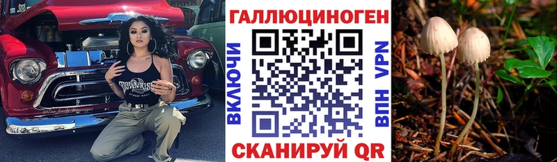Псилоцибиновые грибы мицелий  Купить  Вязники 