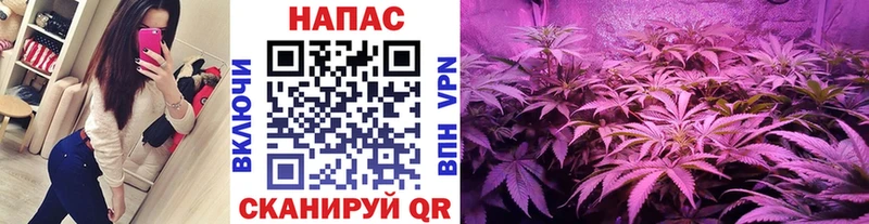 Шишки марихуана Bruce Banner  Купить  Вязники 